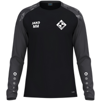 VfL Michelstadt Longsleeve Sonic