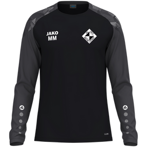 VfL Michelstadt Longsleeve Sonic