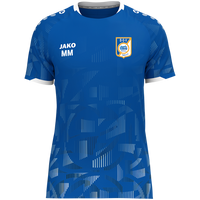BSV Neuburg Trikot Sonic KA