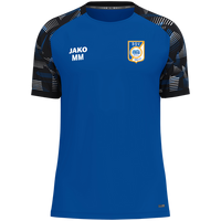 BSV Neuburg T-Shirt Sonic