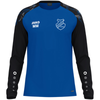 SV Sinning Longsleeve Sonic