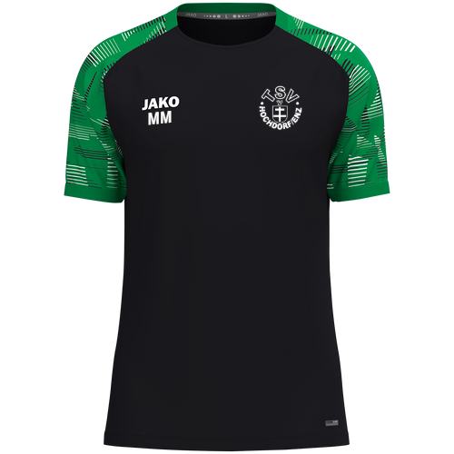 TSV Hochdorf / Enz T-Shirt Sonic