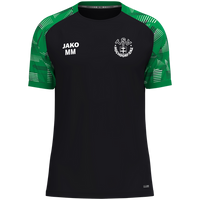 TSV Hochdorf / Enz T-Shirt Sonic