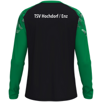 TSV Hochdorf / Enz Longsleeve Sonic