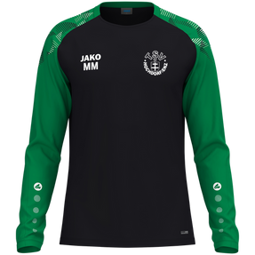 TSV Hochdorf / Enz Longsleeve Sonic