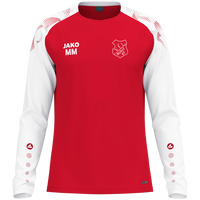 VfL Woltorf 07 Longsleeve Sonic