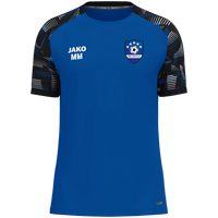 JSG Ostetal T-Shirt Sonic