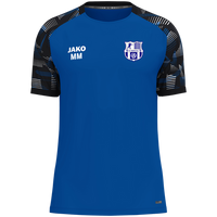 FC Sehmatal T-Shirt Sonic