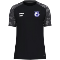 FC Sehmatal T-Shirt Sonic