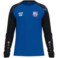 FC Sehmatal Longsleeve Sonic