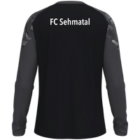 FC Sehmatal Longsleeve Sonic