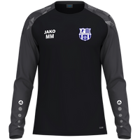 FC Sehmatal Longsleeve Sonic