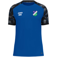 FC Zeholfing T-Shirt Sonic