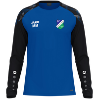 FC Zeholfing Longsleeve Sonic