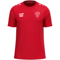 SV DJK Eggolsheim e.V. T-Shirt One Cotton