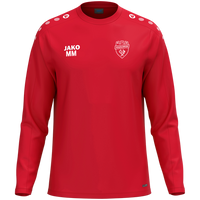 SV DJK Eggolsheim e.V. Sweat One