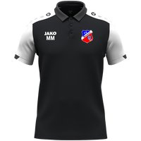 TV 1919 Braach Polo Dynamic