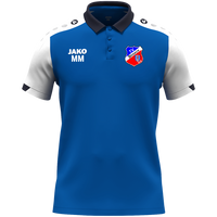 TV 1919 Braach Polo Dynamic