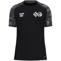 JSG Michelstadt/Günterfürst T-Shirt Sonic