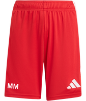 Türk FV Erlenbach Tiro 26 League Shorts