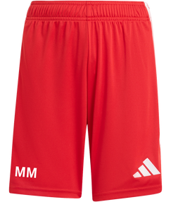 Türk FV Erlenbach Tiro 26 League Shorts