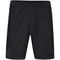 TSV Abensberg Short Power