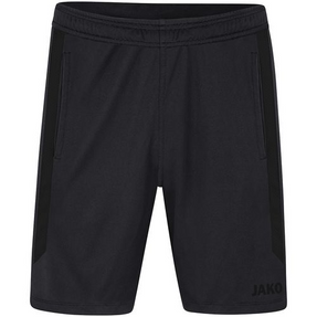 TSV Abensberg Short Power