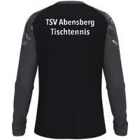 TSV Abensberg Longsleeve Sonic