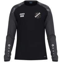 TSV Abensberg Longsleeve Sonic