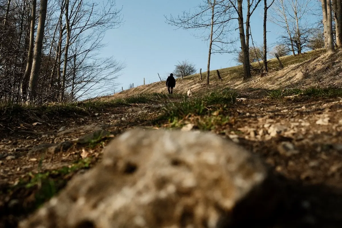 Wanderweg Extratour Gersfeld Aufstieg Simmelsberg in der Rhön