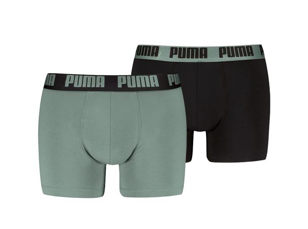 Puma Men Everyday Basic Boxer, Herren Boxershorts, Stück, grün