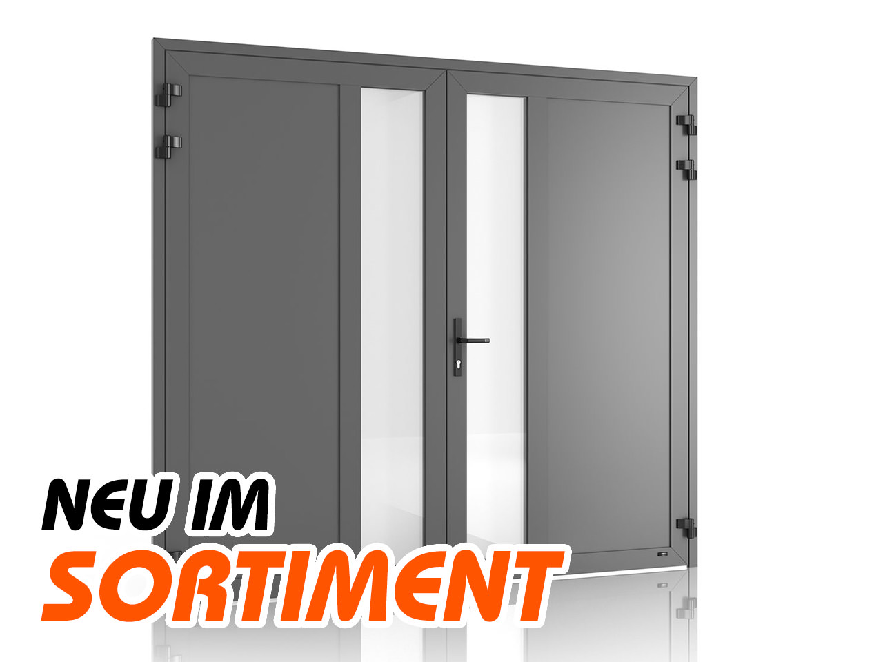 Neu bei uns: Alu-Garagentore mit Verglasung
