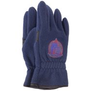 F2 Snow Glove blue Handschuhe F2