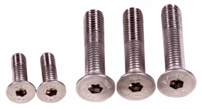 Innensechskant Aero Foil Screws for Wing Set 2500/365 (5pcs) Foil-Schrauben Fanatic 2021