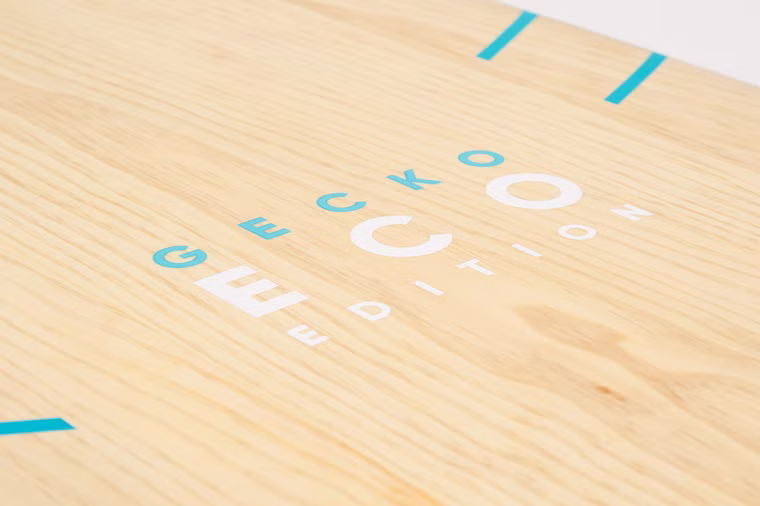 Gecko Eco Fanatic 2021 135