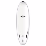 Fish Wellenreiter BIC 2020 5'10''