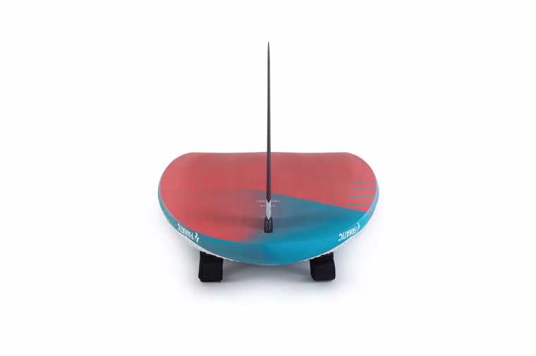 Gecko LTD Windsurfboard Fanatic 2022 100