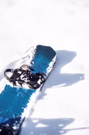 Golden Orca EARLY Snowboard Lib Tech 2024 150