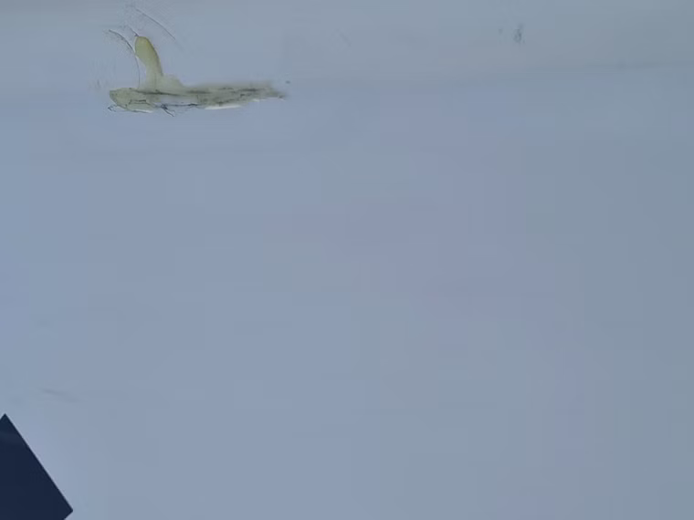 Gecko Foil HRS Windsurfboard Fanatic 2023 gebraucht 135