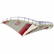 Freewing Pro V2 Wing Freewing 2024 4.0