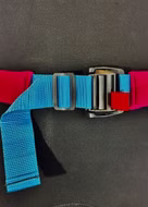 Wing Waist V2 Leash FBC 2025 M/L