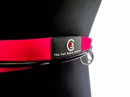 Wing Waist V2 Leash FBC 2025 M/L