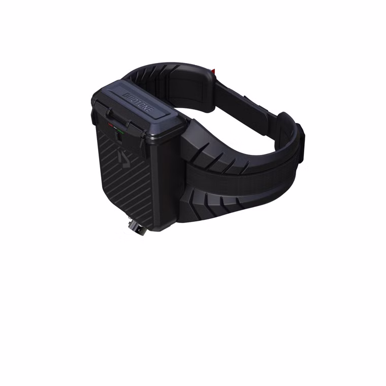 [Paket] Foil Assist Set D/LAB Duotone 2025 L-XXL