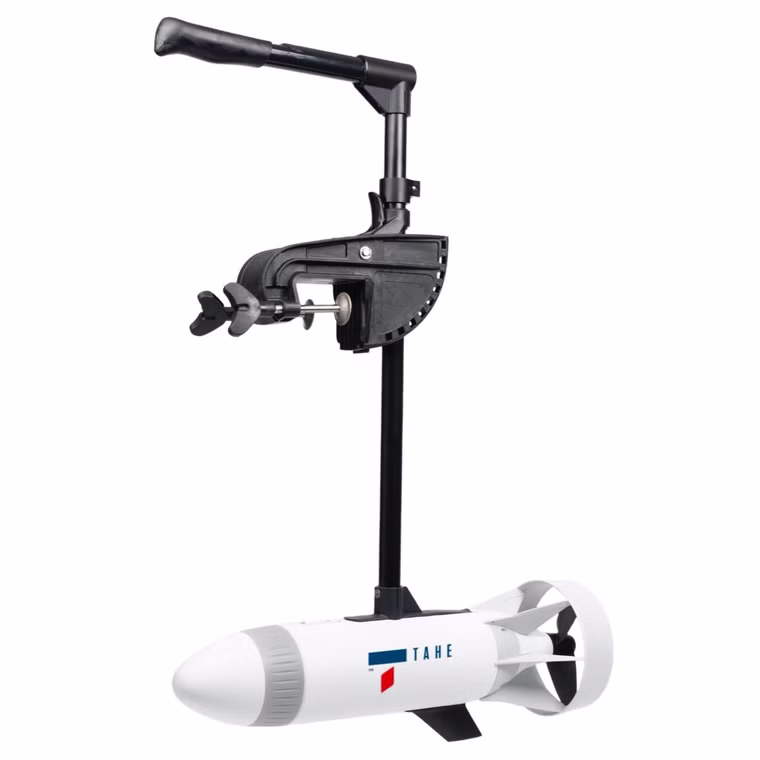 Epod 600 Electric Motor Elektromotor Tahe