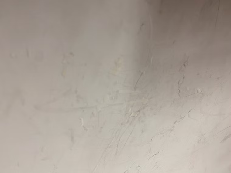 Eagle Windsurf Board Duotone 2025 gebraucht 148