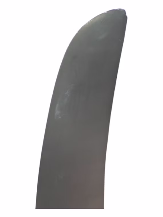 Ultra FreeWave Windsurf Board Duotone 2025 gebraucht 119