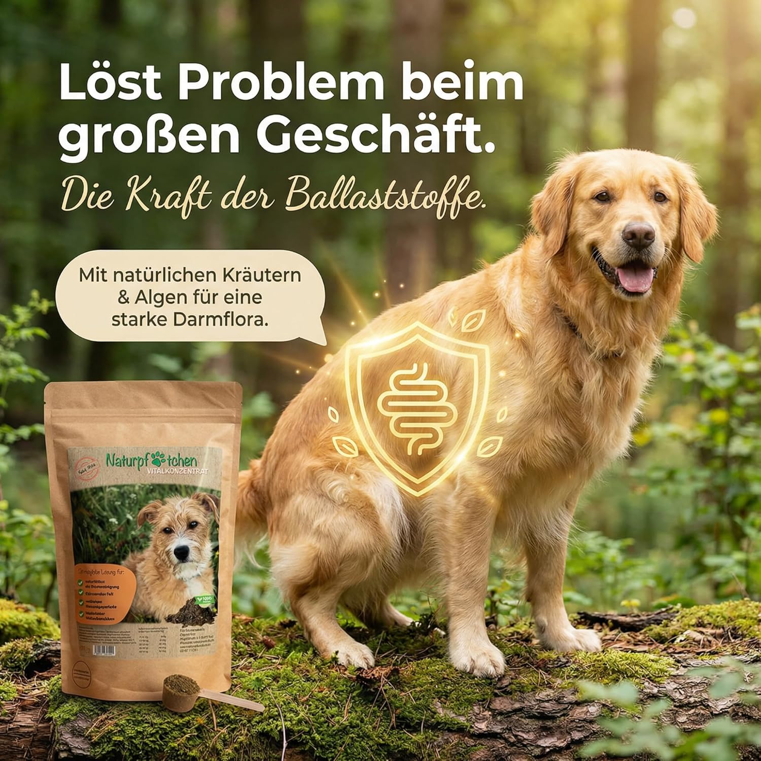 luxus halsbnder fr hunde Hundehalsband Strass