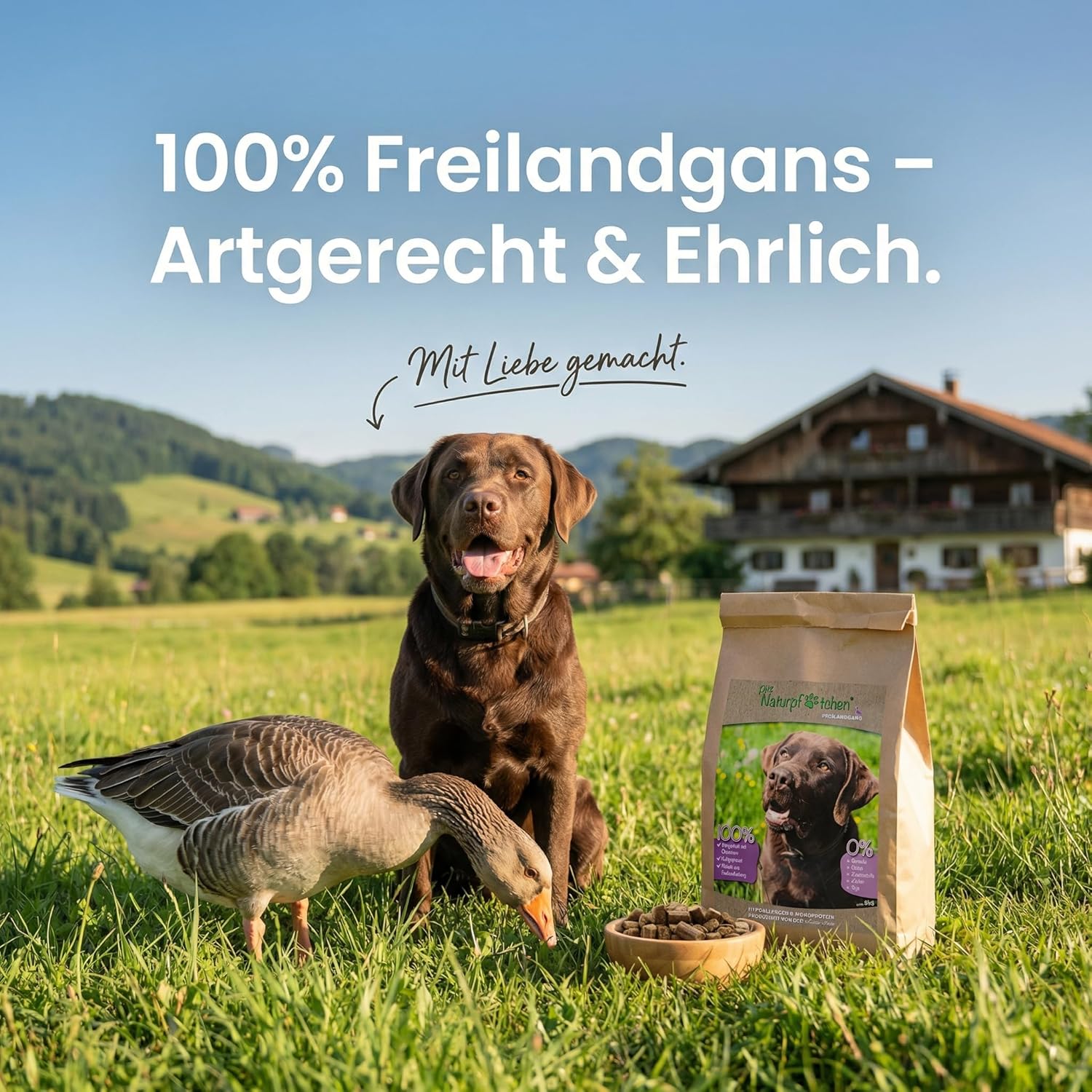 hundemantel kaufen Hundemantel für den Winter – Schutz & Komfort main image 0