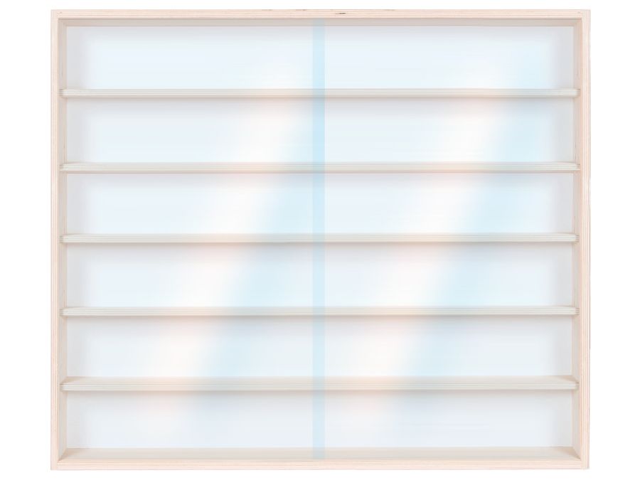 V38 Vitrine Setzkasten Regal Spur N & Z Truck 70cm