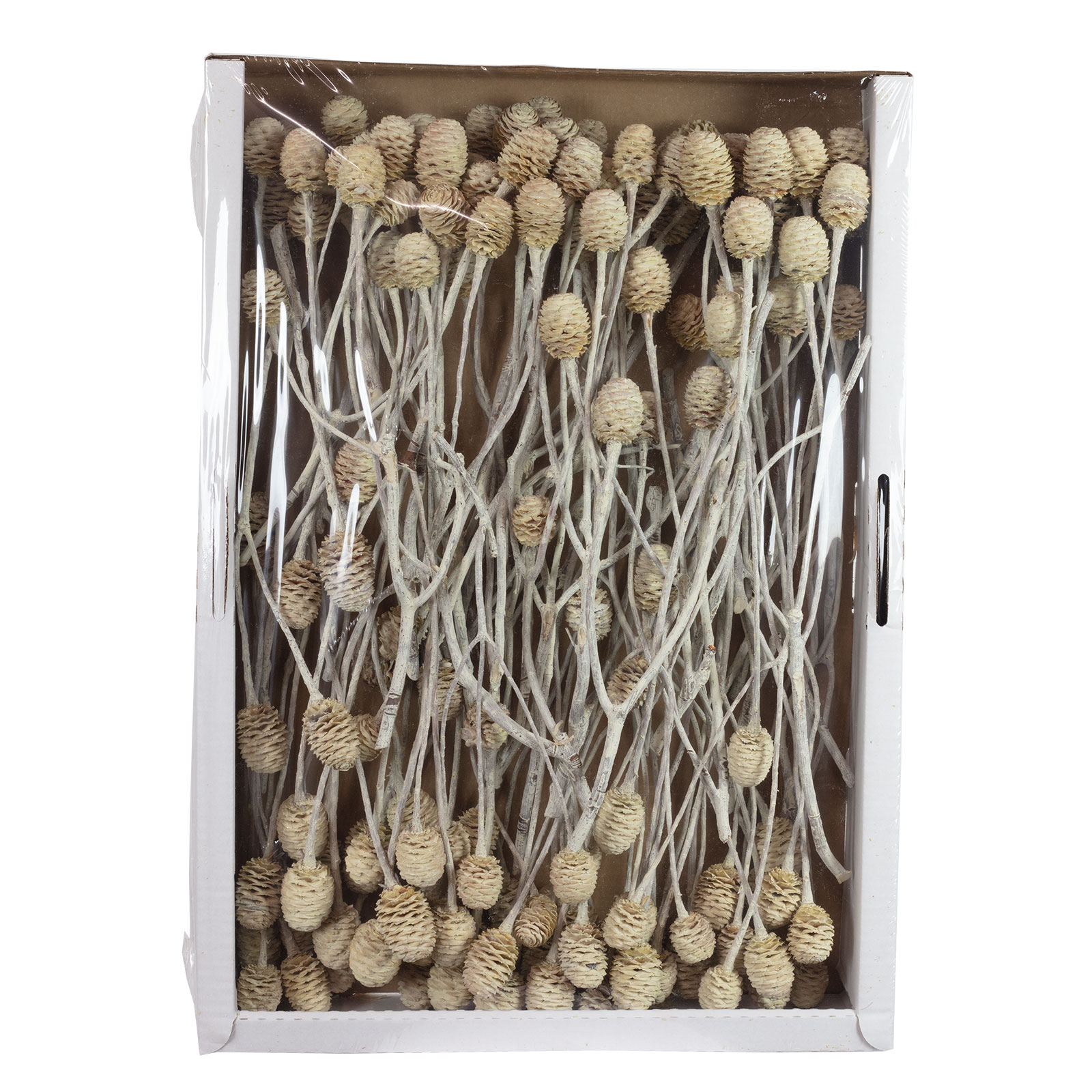 ARWIG Blumendraht 100 Stück - Flexibler Floristikdraht 40 Cm Weiß